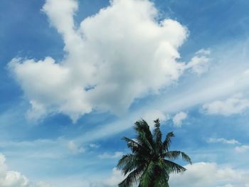 Low angle view of palm tree against sky