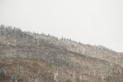 Scenic view of snow covered land against clear sky