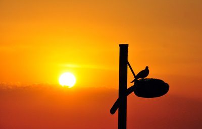 Silhouette bird perching on pole against orange sky