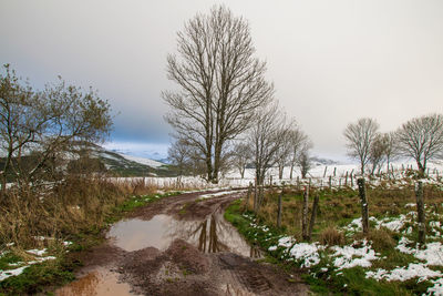 Bare trees on landscape against clear sky