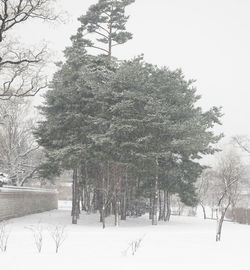 Scenic view of snow covered landscape