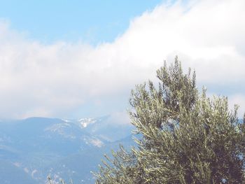 Scenic view of tree mountains against sky