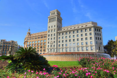 View of flowering plants by building against blue sky