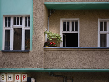 Potted plant on window sill of building