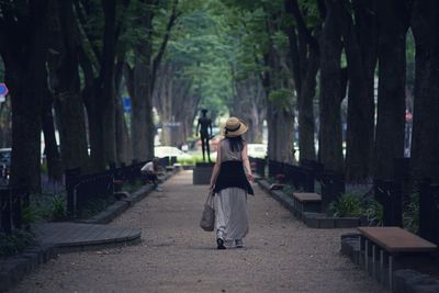 Rear view of woman walking on pathway along trees