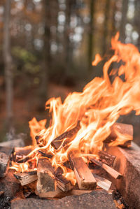 Close-up of bonfire