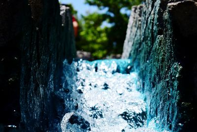 Close-up of water on tree