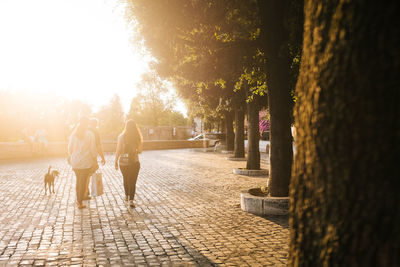 People strolling with pet dog on footpath