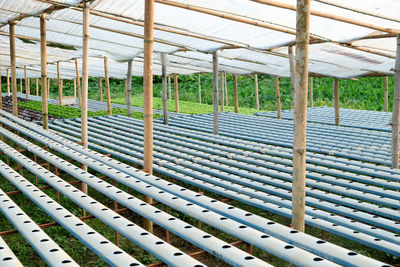 Empty chairs in greenhouse