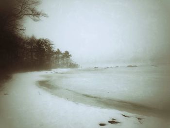 Scenic view of snow covered landscape