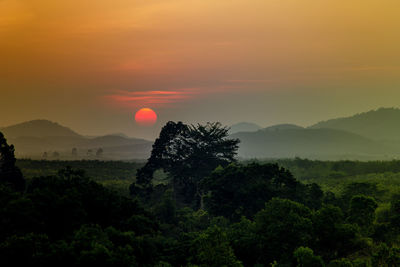 Silhouette trees on landscape against sky during sunset