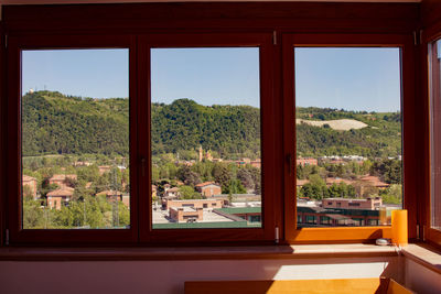 Trees and plants seen through glass window