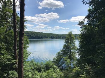 Scenic view of lake in forest against sky