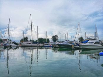 Sailboats moored at harbor