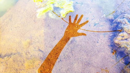 High angle view of person shadow on tree