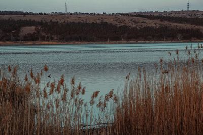 Scenic view of lake against sky