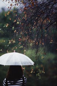 Rear view of woman with umbrella against trees during rainy season