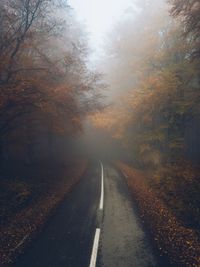 Road amidst trees during autumn