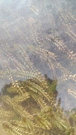 High angle view of beach