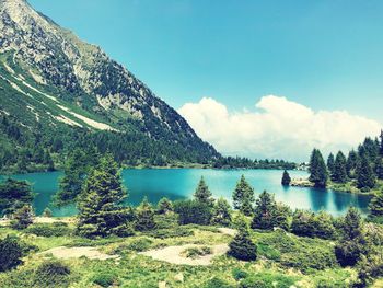 Scenic view of lake by trees against sky