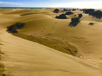 Scenic view of desert