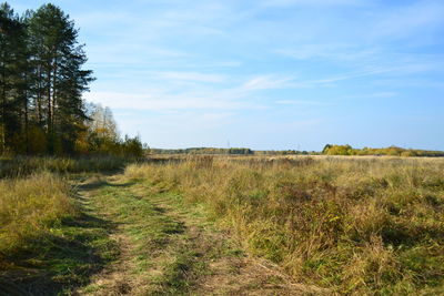 Scenic view of field against sky