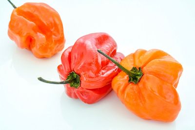 Close-up of tomatoes against white background