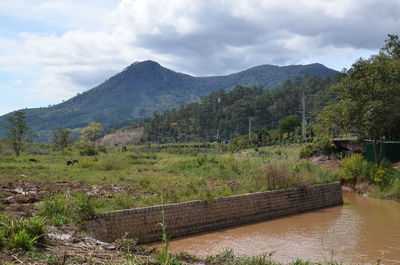 Scenic view of landscape against sky