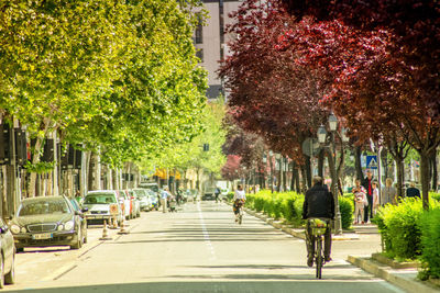 People walking on road by trees in city