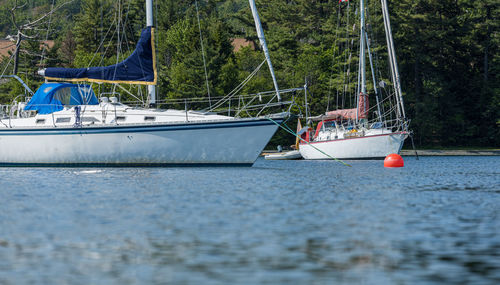 Sailboats moored in sea