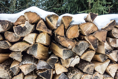 Stack of logs in winter