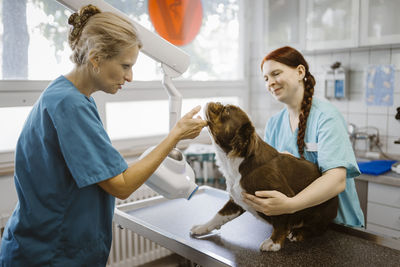 Blond mature female doctor doing routine checkup of dog while nurse assisting in medical clinic