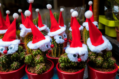 Close-up of potted plants for sale at market stall