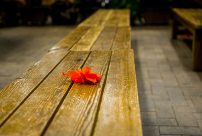 Close-up of red flower on table