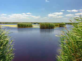 Scenic view of lake against sky