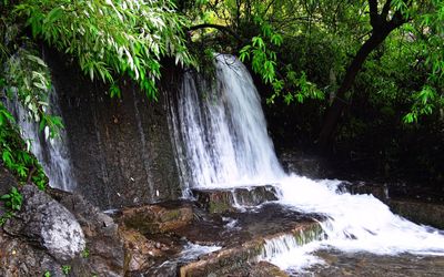 Scenic view of waterfall in forest