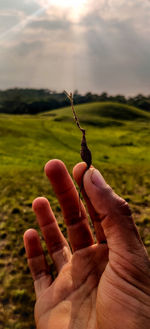 Close-up of hand holding plant against sky