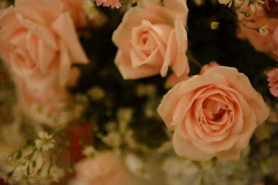 Close-up of rose bouquet