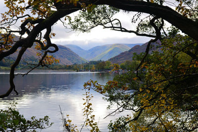 Scenic view of lake and mountains