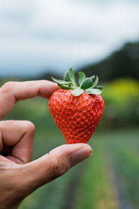 Close-up of hand holding strawberry