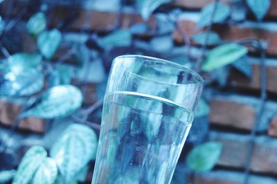 Close-up of drink glass on rock