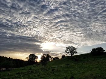 Scenic view of field against sky during sunset