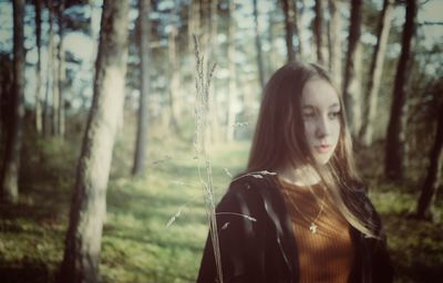 forest