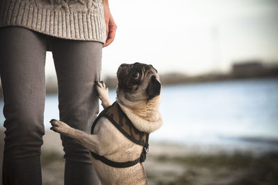 Midsection of woman with dog against sky