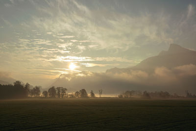 Scenic view of field against sky during sunset