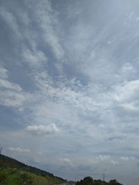 Low angle view of trees on field against sky