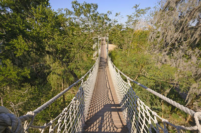 Footbridge amidst trees in forest against sky