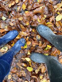 Low section of person with fallen leaves on land