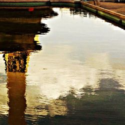 Reflection of trees in water