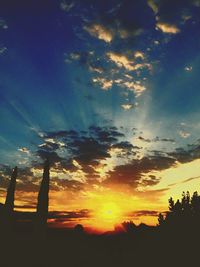 Silhouette of trees at sunset